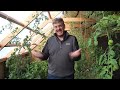 6 Things I Can Improve on For Next Year! Passive Solar Greenhouse