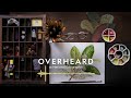 The Secret Life of Plants | Podcast | Overheard at National Geographic