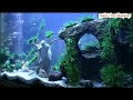 AIR TERJUN AQUASCAPE DARI STYROFOAM | How to make waterfall aquascape with styrofoam