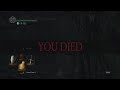 Most Unlucky Death In Dark Souls