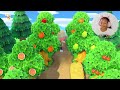 my cozy 5 star island tour (300+ hours) | animal crossing new horizons