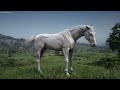 How To Get ULTRA RARE Albino Arabian! Where To Find Dutch's Albino Arabian Horse - RDR2