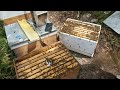 What the Hell is That!? Strangest Beehive Inspection EVER! Aussiebeekeeping 1-6-23 #bees