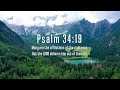 QUIET TIME WITH GOD | Instrumental Worship & Scriptures with Nature🌿Heavenly Melodies