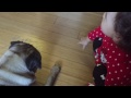 Baby Talking to Dog