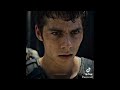 maze runner tik tok edits because I miss them