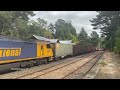 Quadruple GWA's & Brand New QQYY Wagons - Freight Trains In The Hills - Ep #15