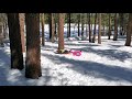 Sledding in woods