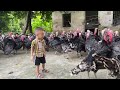 Visit Poultry Farm Make Million Turkeys Of The Young Farmer