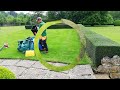 AMAZING Hedge Recovery, Trimming An Overgrown FORMAL HEDGE