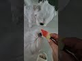 수박을 본 강아지반응! Dog reactions to watermelon!