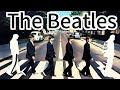 Let the Classics Brighten Your Day: The Beatles Greatest Hits Full Album #petpetiloveyou
