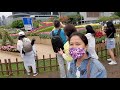 Tulips Show || Tamar Hk || Flower Show 2021