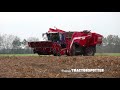 Potato Harvesting | Grimme Ventor 4150 & Vervaet Hydro Trike xl | Ploegmakers Rips