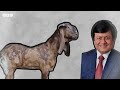 কোটা আন্দোলন সংঘাতে গড়ালো কেন? BBC Bangla