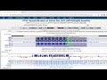 How to Check the Specificity of Primers Using In Silico PCR in UCSC Genome Browser