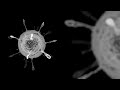 Mysterious Plankton - niezlyziom 5254563