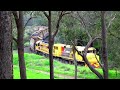 DBZ2309 & DFZ2405, working the Albany woodchip train, are taking the wagons to Collie, for scapping.