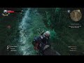 Geralt's Funny Walk Glitch (The Witcher 3: Wild Hunt)