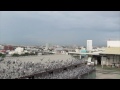 Thailand Grand Pigeon Race: Loft Training