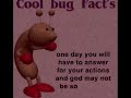 Cool bug facts