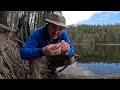 I found a MOUNTAIN Lake with BIG TROUT!!! (Solo Fishing & Cooking)