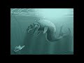 Photoshop Speed Painting - Fish (1hr 2min speed up)