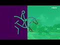 Michael Jung unstoppable! | Cross Country | FEI Eventing World Championships 2022