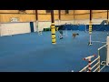 Airi Quinn - Recon Jumpers Novice Rd 2 - Skilled 12” & Vet Handler - May 5, 2024