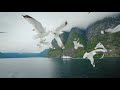 Horizon View in NORWAY - Amazing Nature of Aurlandsfjord with Relaxing Music - 4k Video HD Ultra