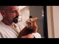 PRISON CAT | FOLLOW UP WITH CRAIG & GALILEO | THE CATS THAT RULE THE WORLD | SHEBA®