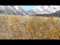 Relaxing Rocky Mountain Stream