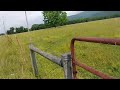 40 second Arkansas Video! :)