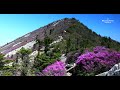 털진달래 그리고 명품 바람 소리, 설악산 귀때기청봉/Hairy Korean rhododendron and the sound of luxury wind