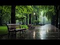 The sound of rain helps calm and relax - white noise, nature sounds