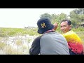 mancing jatiluhur terbaru spot tambak terbengkalai hanya yang tahu spot ini dihuni ikan emas babon