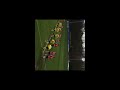 Élio Costa Mário - Match Highlights Against PSV Eindhoven