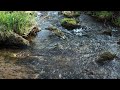 River water relaxing sound
