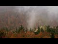 Meditative Landscapes: Fog&Fall 1hour Relaxing Wind Sounds for Meditation, Sleephelp, Stress-Relief