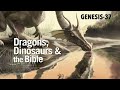 DRAGONS, DINOSAURS & THE BIBLE (GEN-37)