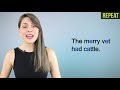 /æ/ vs /e/ | Learn English Pronunciation Course #7 | Minimal Pairs Practice