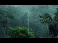 Rainforest Rain Sounds for Sleeping or Studying ️| White Noise Rainstorm 8 Hours