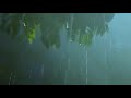 Fall into Sleep Immediately with Heavy Rain & Thunder Sounds - Relax, Reduce Stress with Rain Sounds