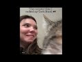 Funny Cats Videos 2024 😸 Funny Cat Videos − Funny Cats