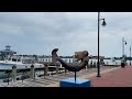【4K】WALK Norfolk VIRGINIA Va USA 4k video US Travel vlog HDR