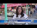Caught on Camera: San Francisco Chinatown Camera Shop Owners Fight Back Against Smash-and-Grab Robbe