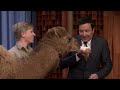 Robert Irwin's Baby Camel Kisses Jimmy on the Lips