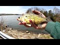 Beginner Fishing Lures! How to Fish with a Twister Tail Grub (Easy)
