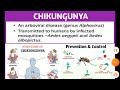 CHIKUNGUNYA: definition, transmission, symptoms, prevention, treatment(english/हिंदी)