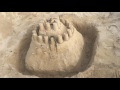 Bartl the bearded dragon in his sand castle